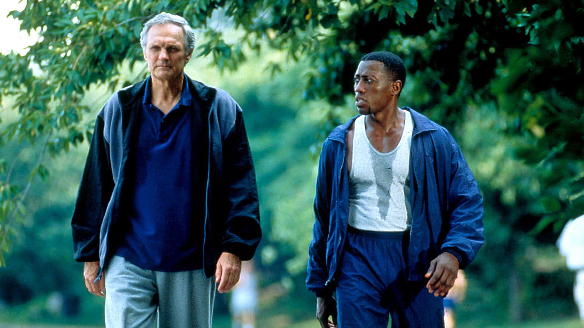 Backdrop of Murder at 1600