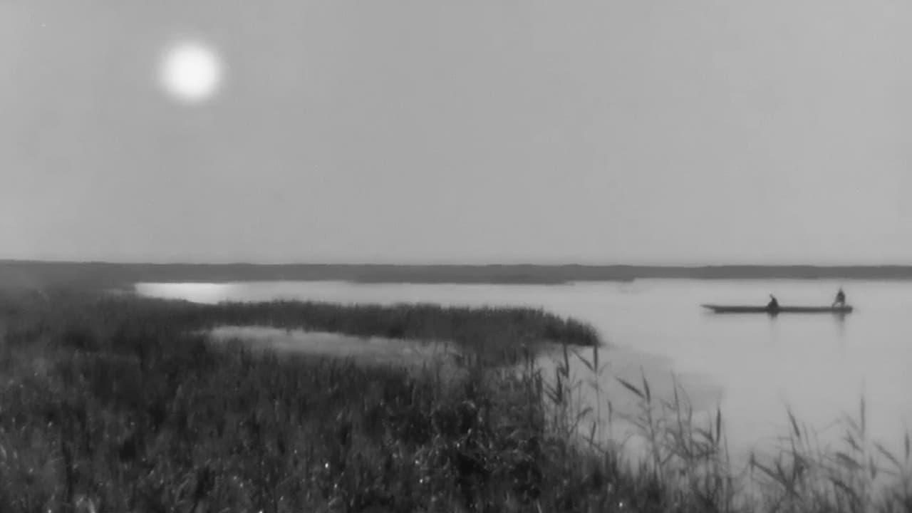 Backdrop of Miss Oyu