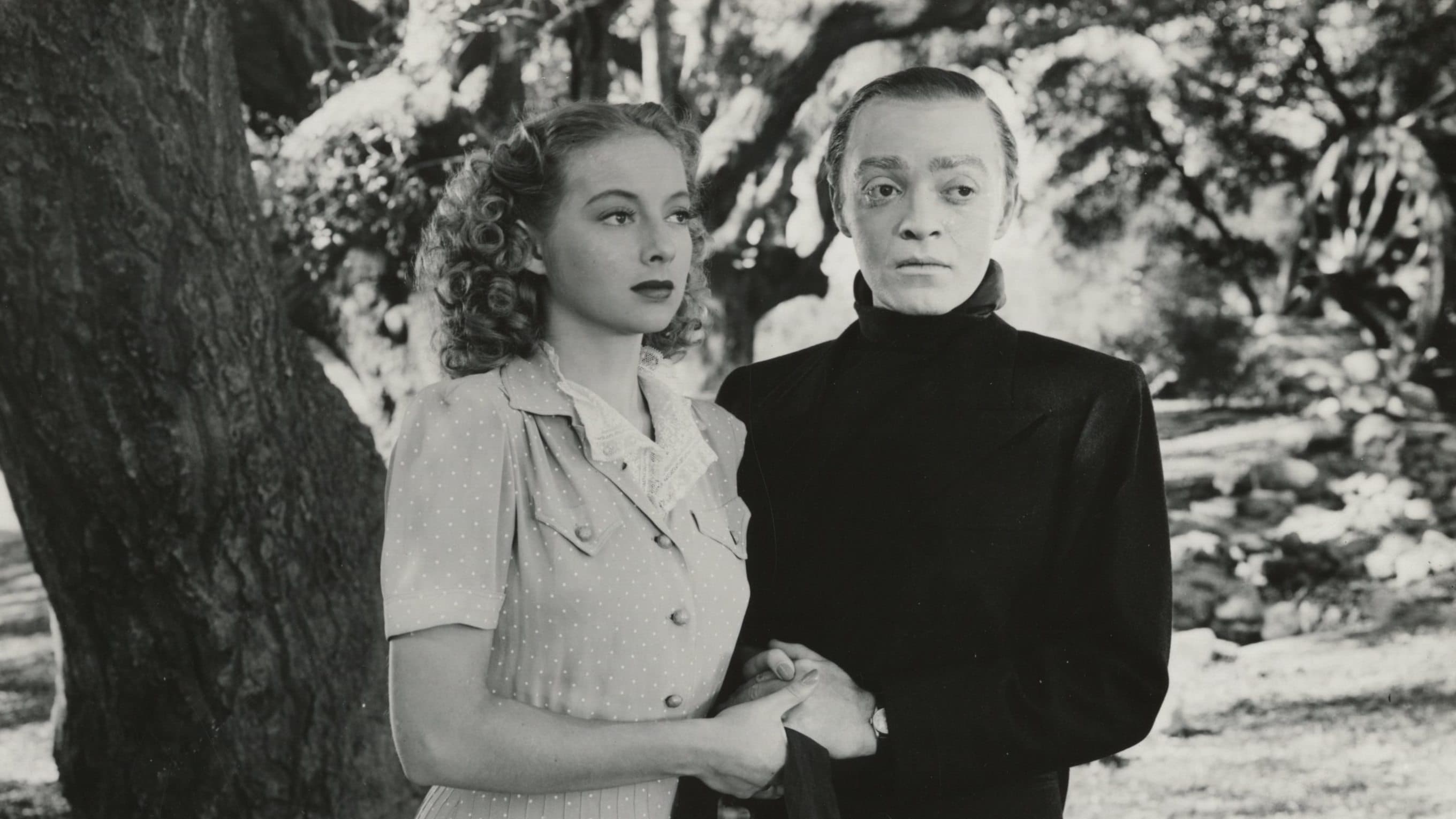 Backdrop of The Face Behind the Mask