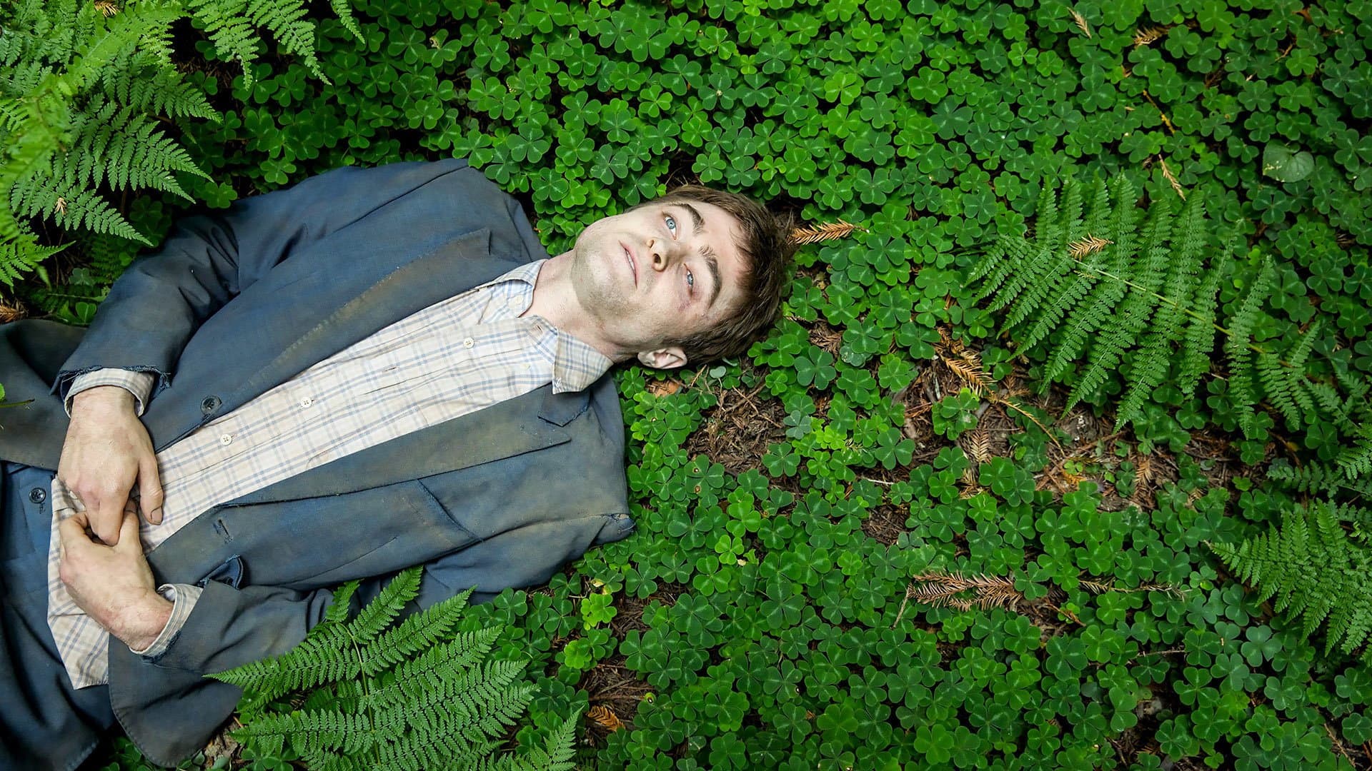 Backdrop of Swiss Army Man