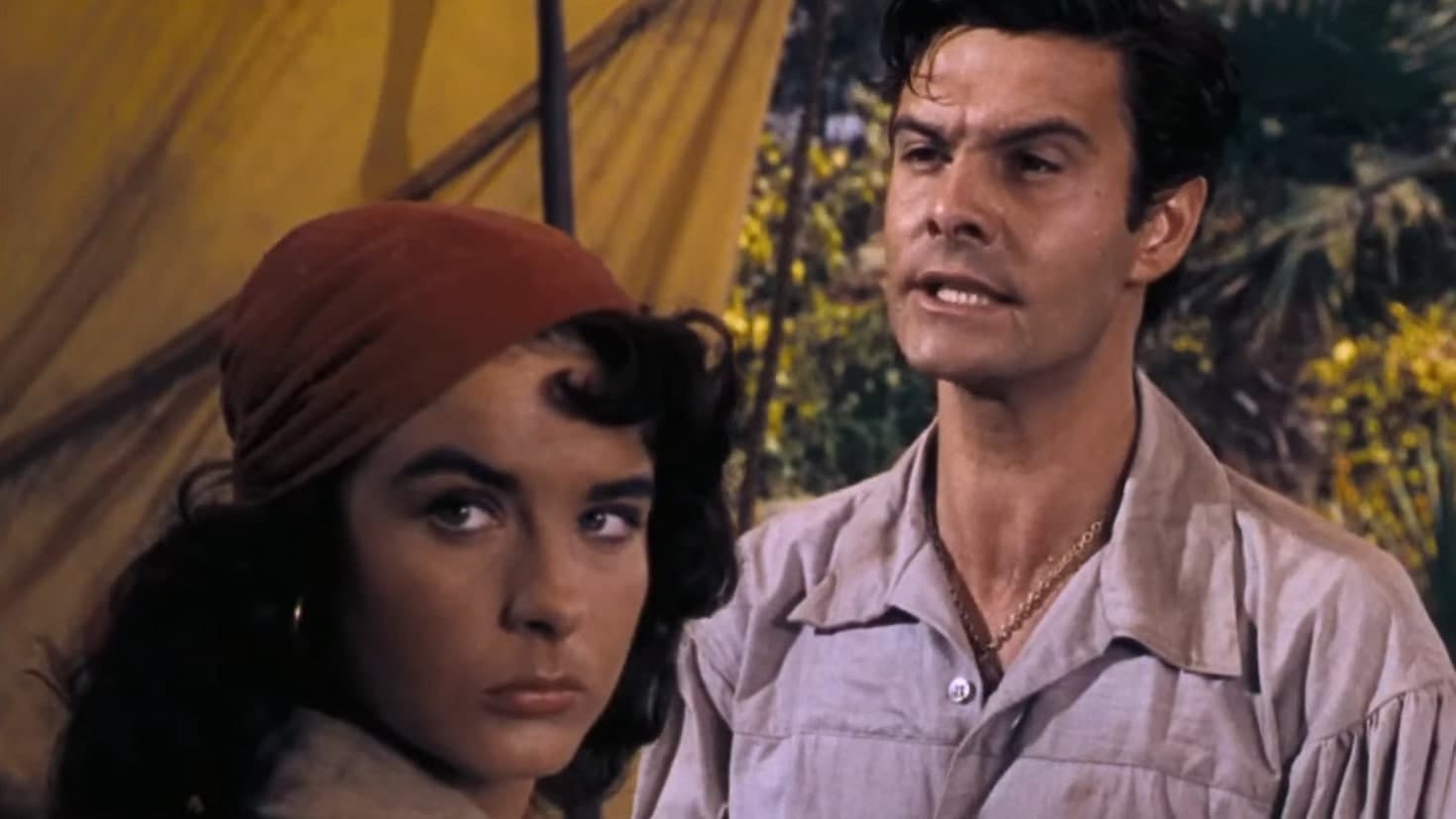 Backdrop of Anne of the Indies