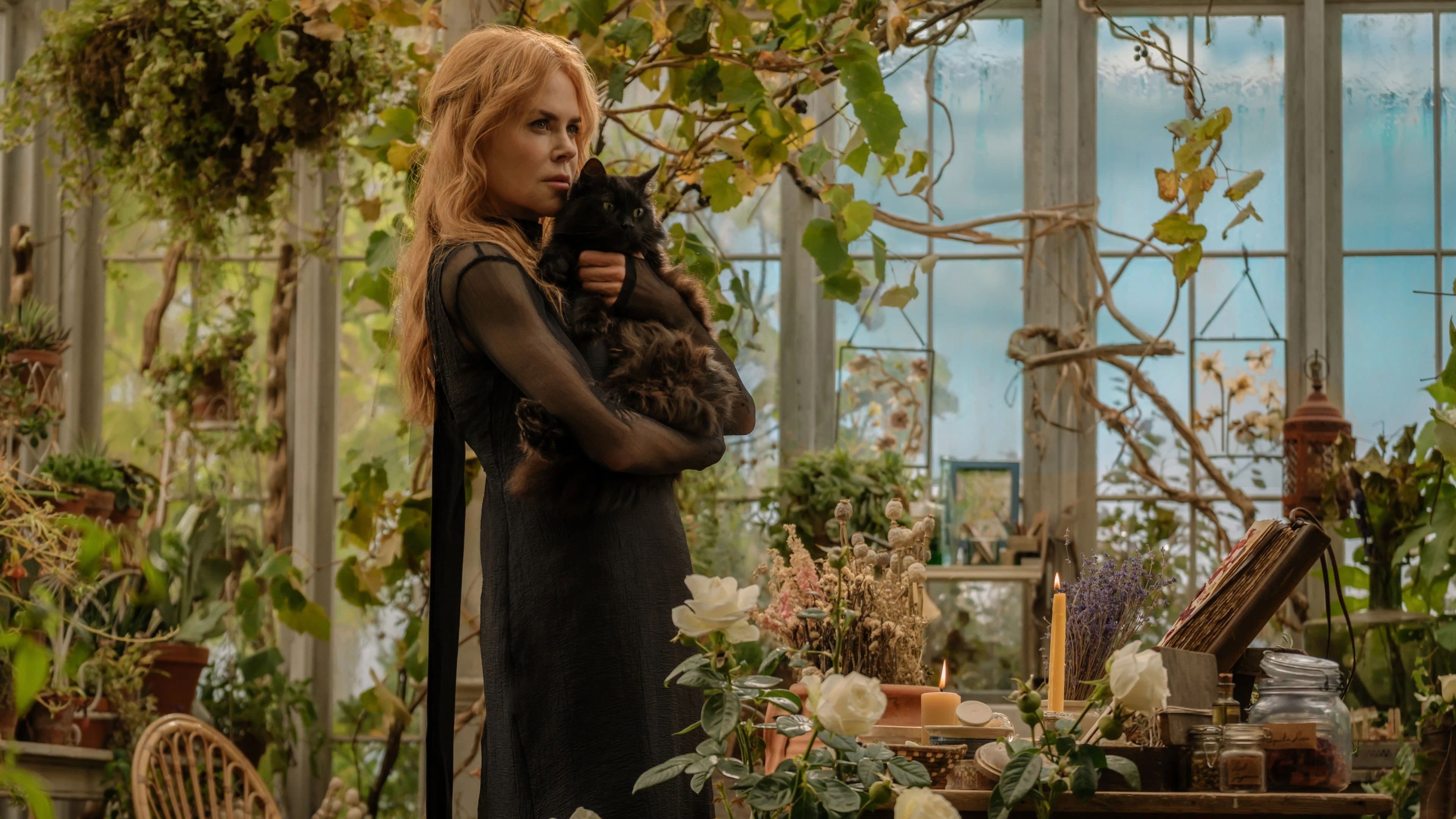 Backdrop of Practical Magic 2