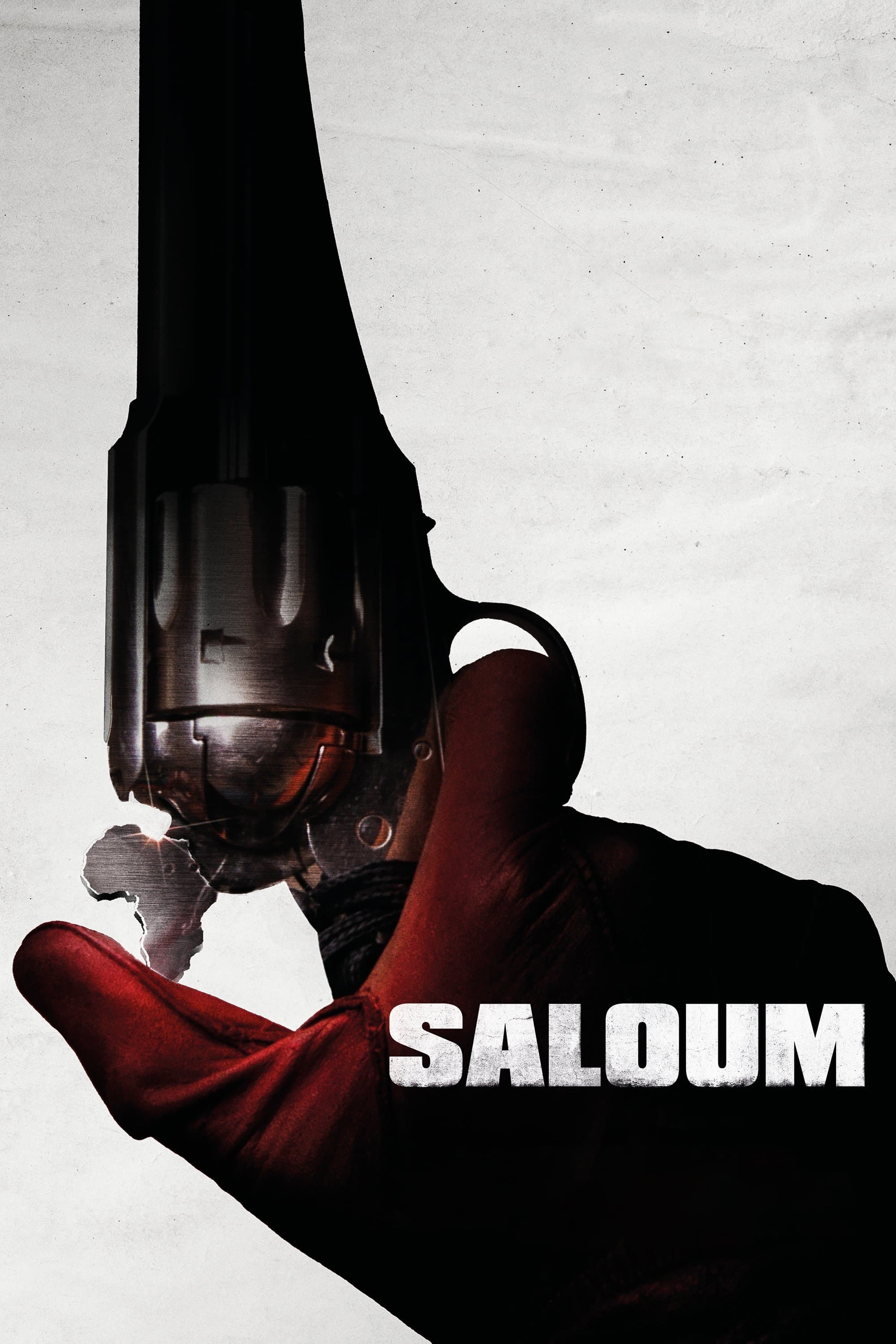 Poster of Saloum