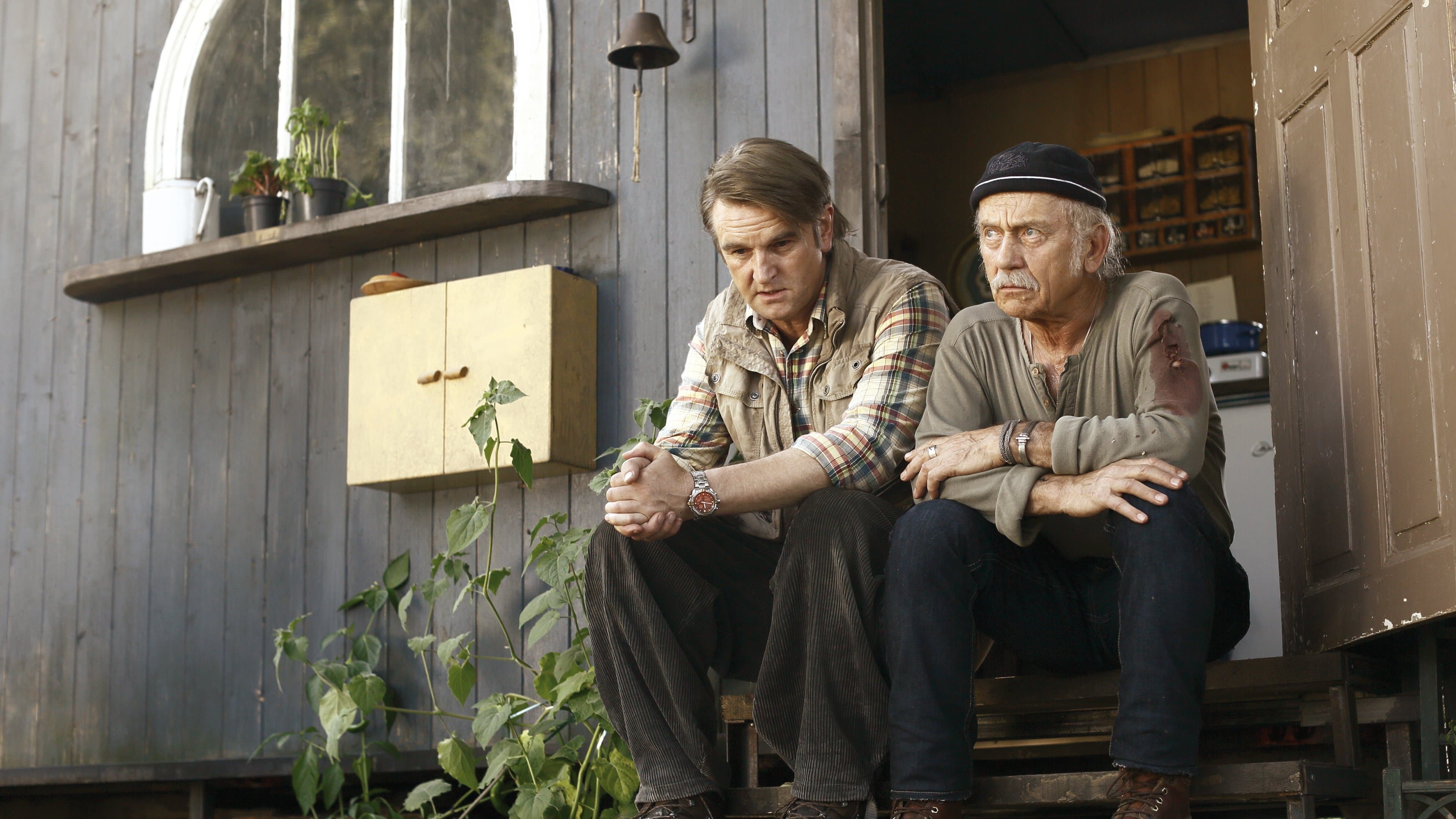 Backdrop of Windstorm