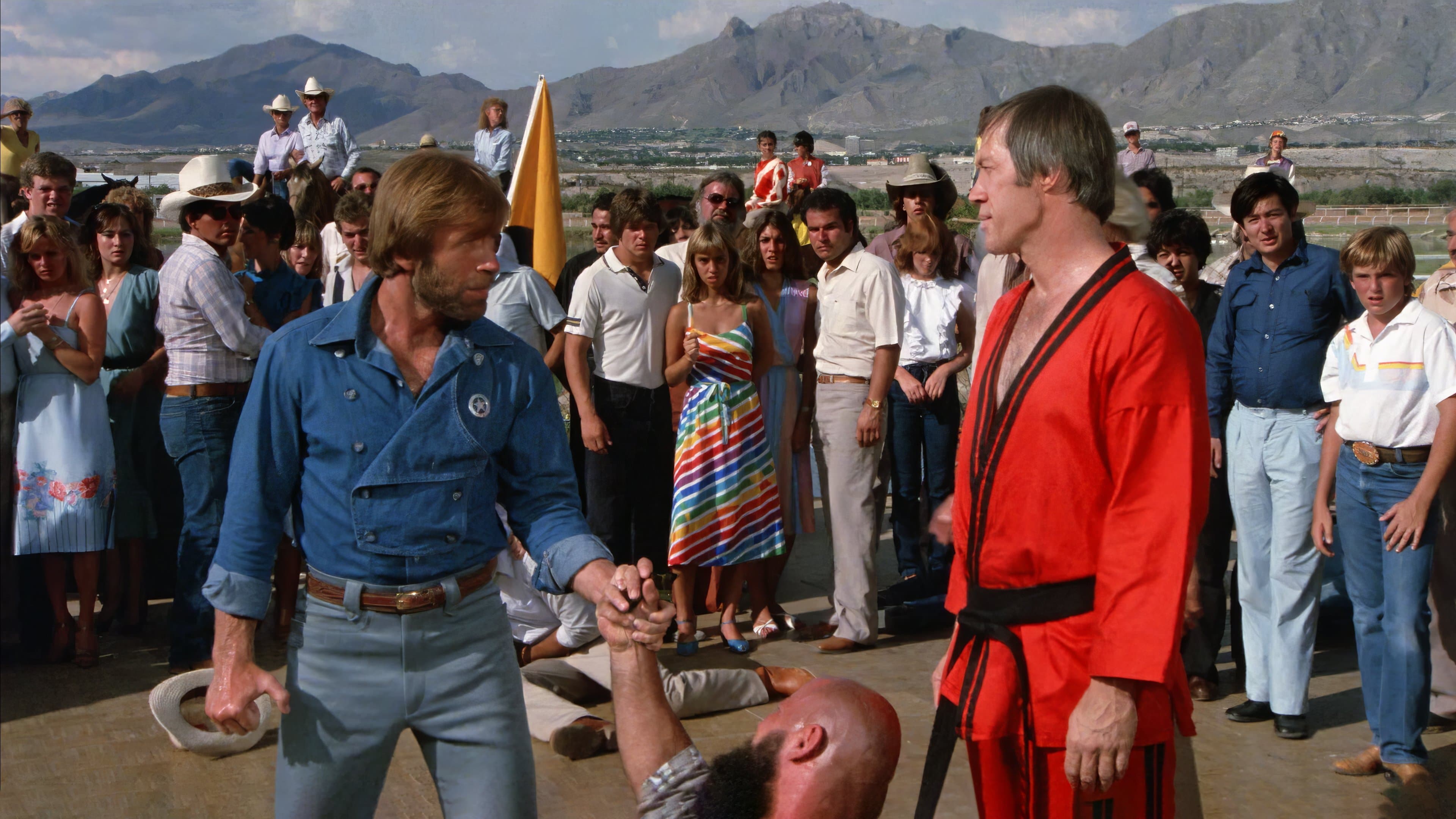 Backdrop of Lone Wolf McQuade