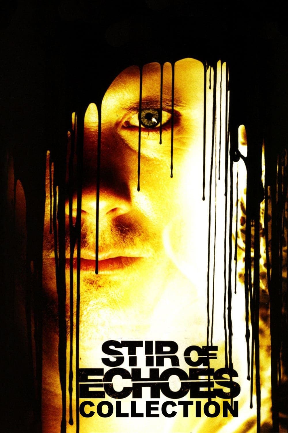 Poster of Stir of Echoes Collection