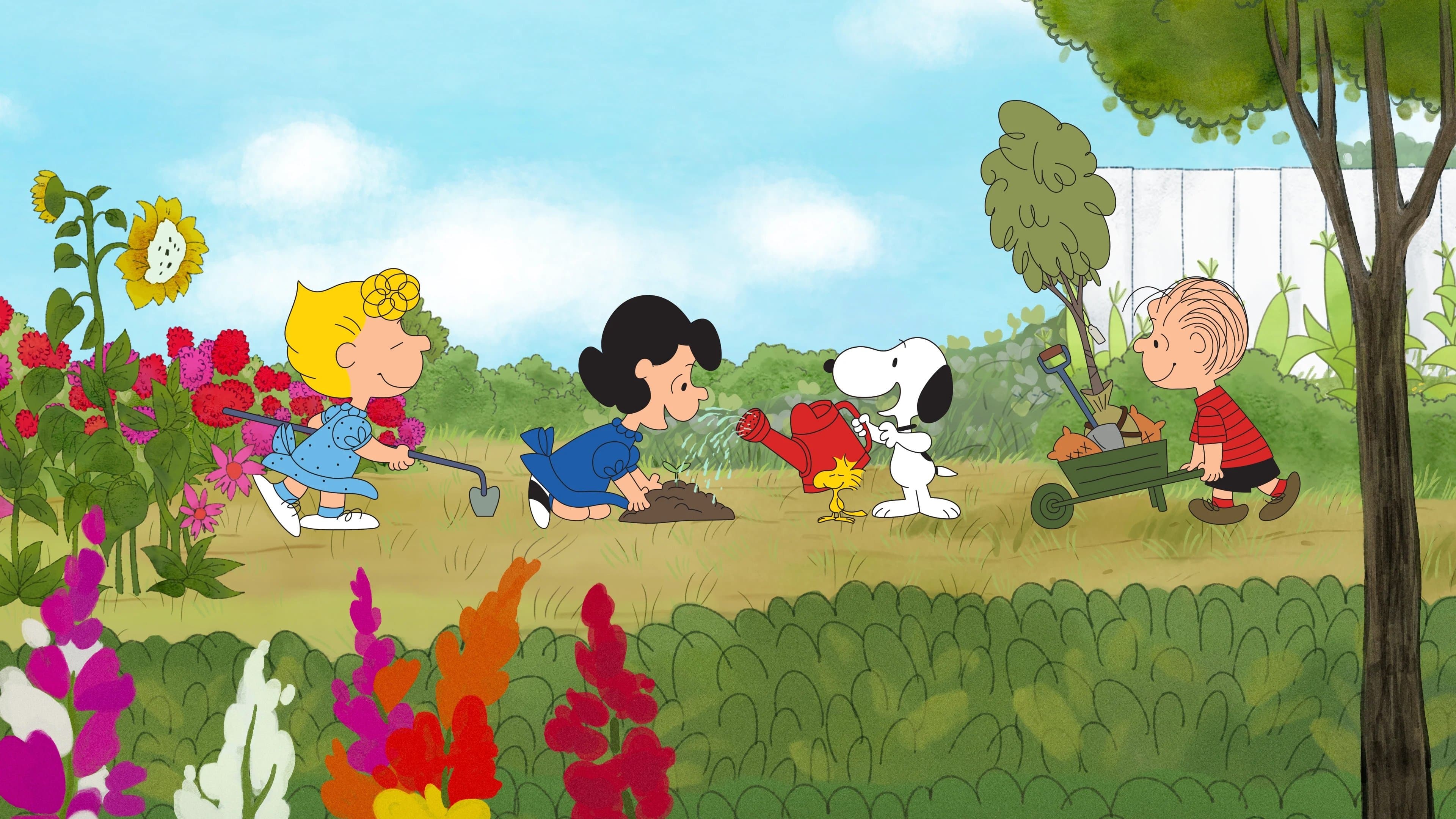 Backdrop of It's Arbor Day, Charlie Brown