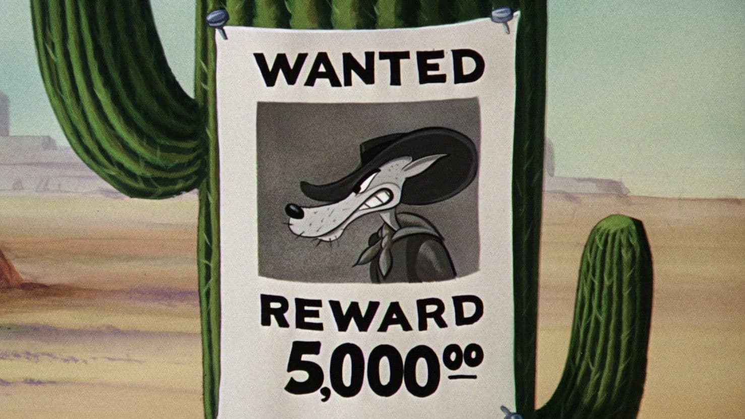 Backdrop of Wild and Woolfy