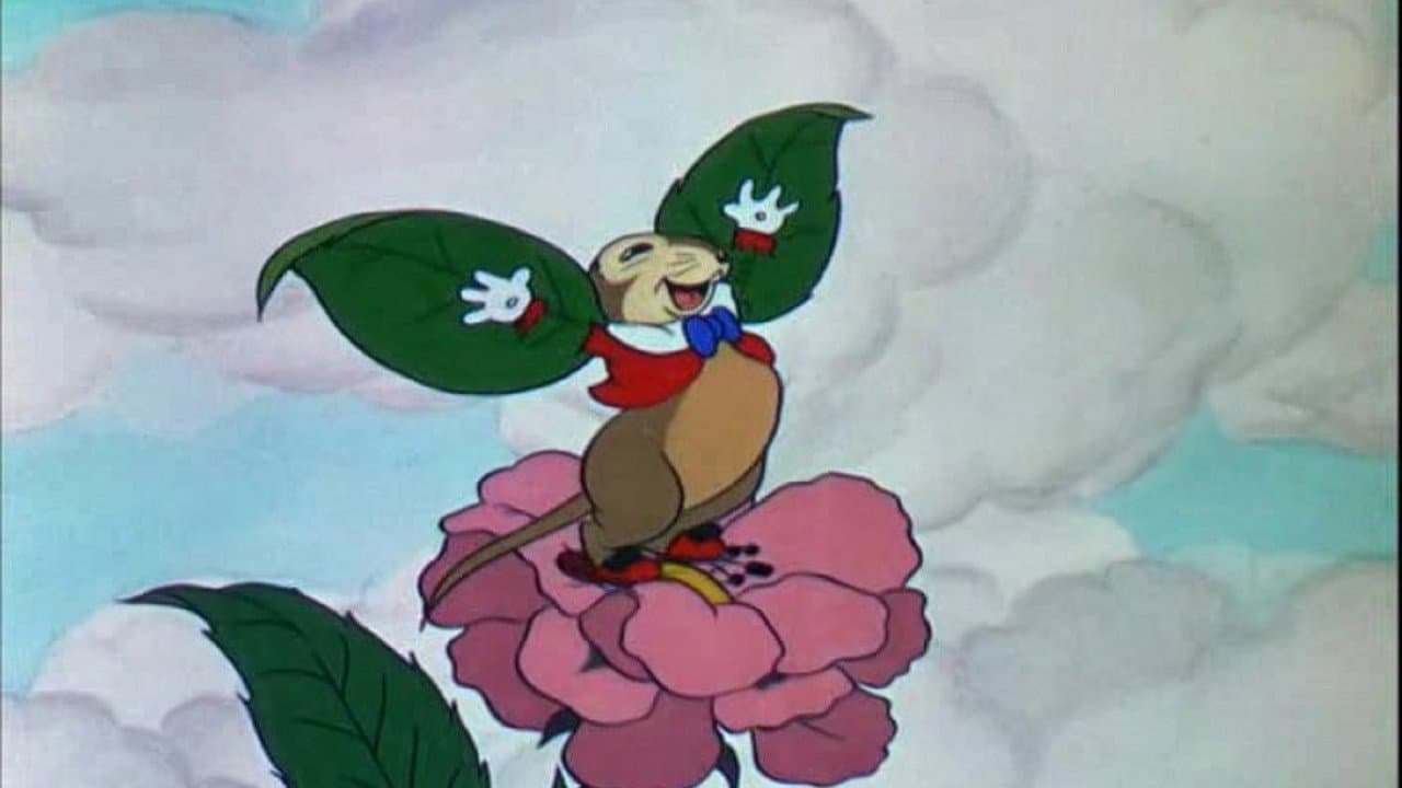 Backdrop of The Flying Mouse