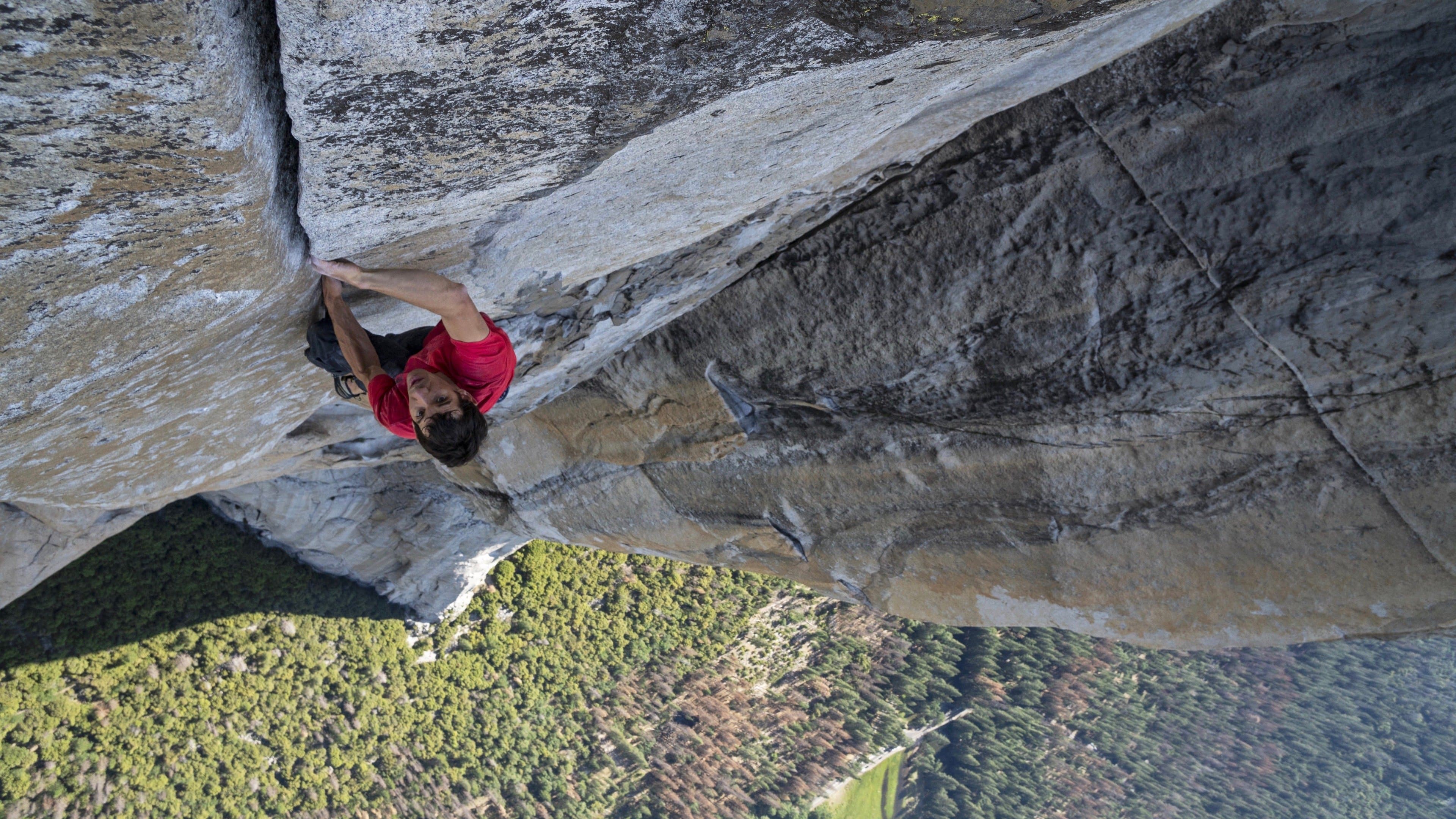 Backdrop of Free Solo