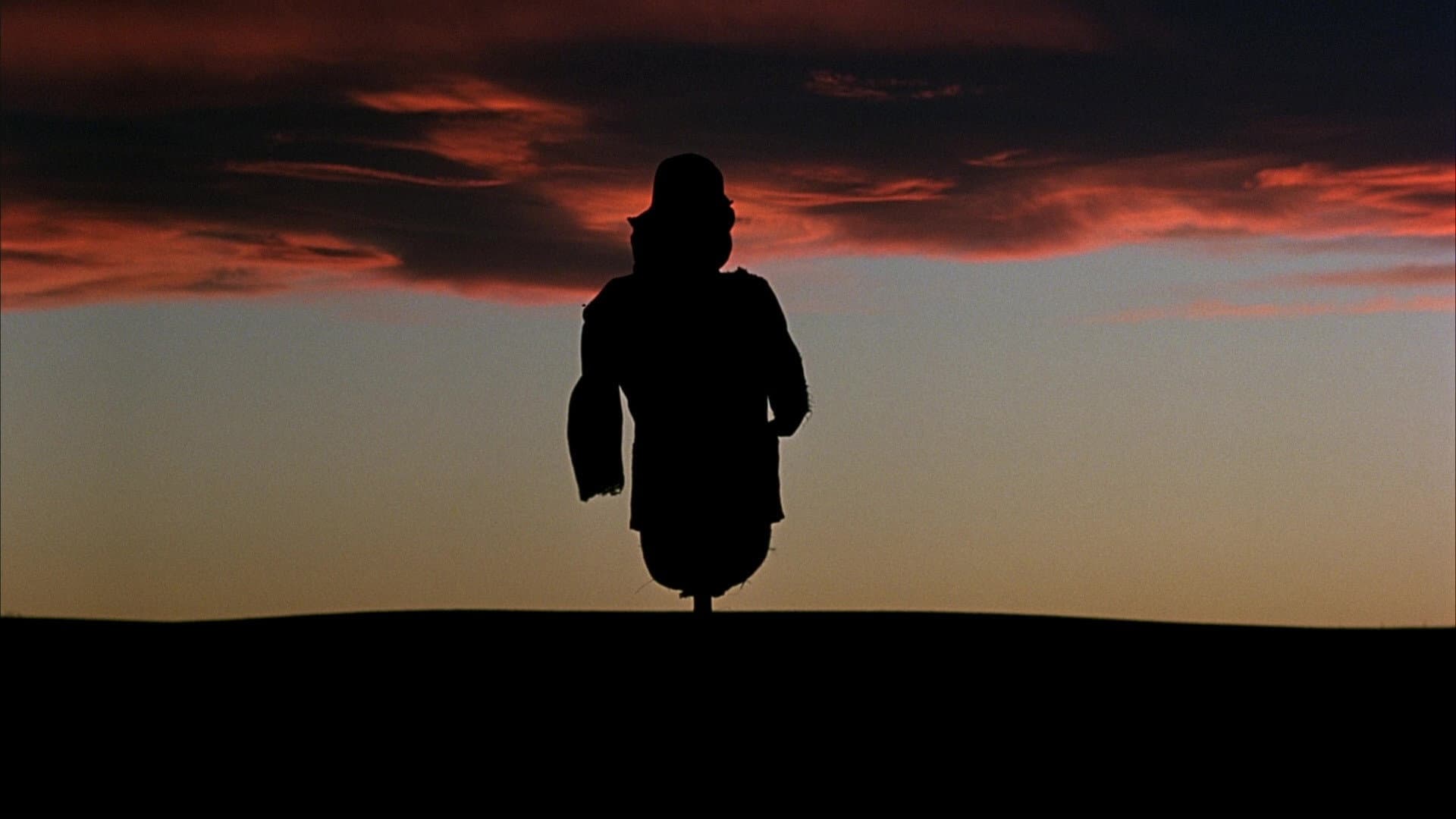 Backdrop of Days of Heaven