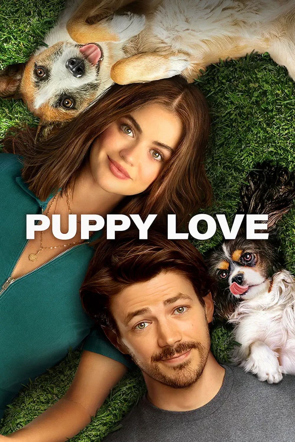 Poster of Puppy Love