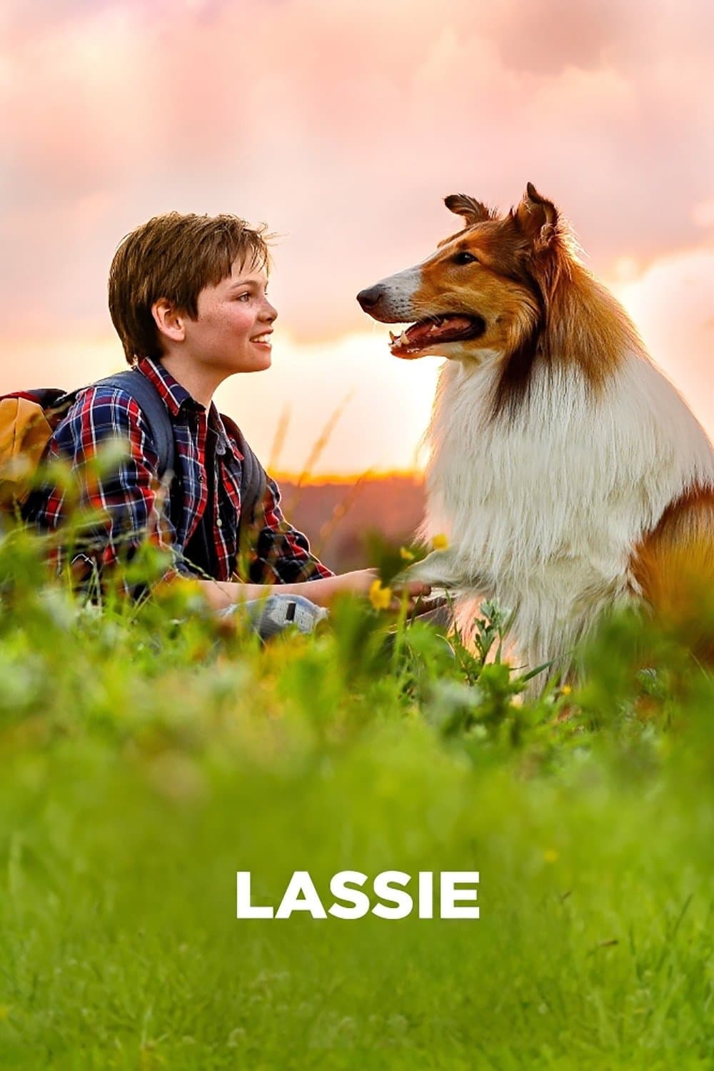 Poster of Lassie (German) Collection