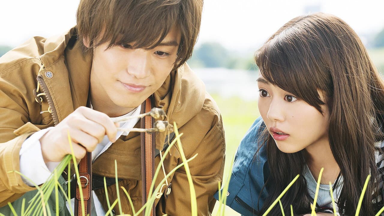 Backdrop of Evergreen Love