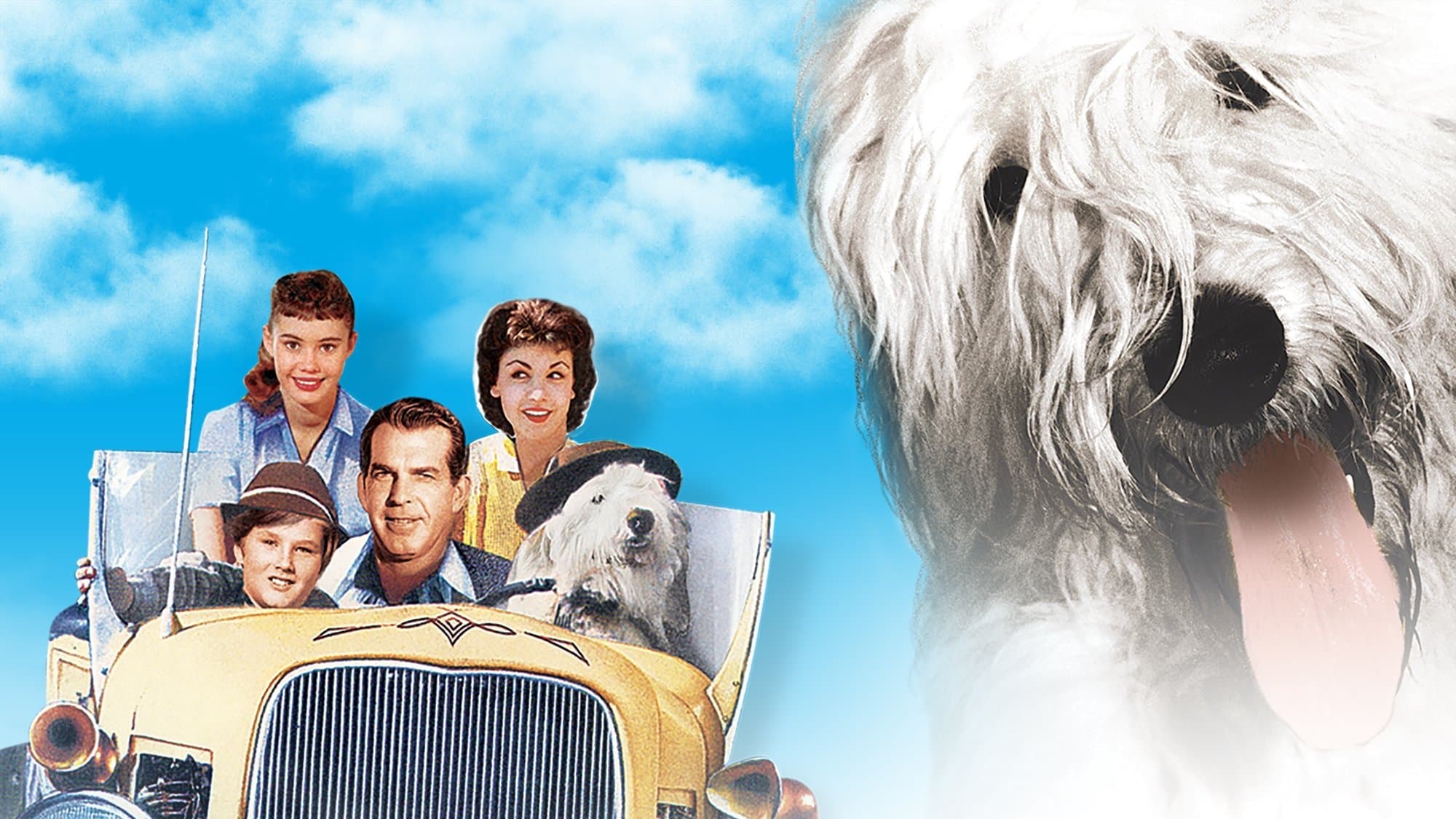 Backdrop of The Shaggy Dog