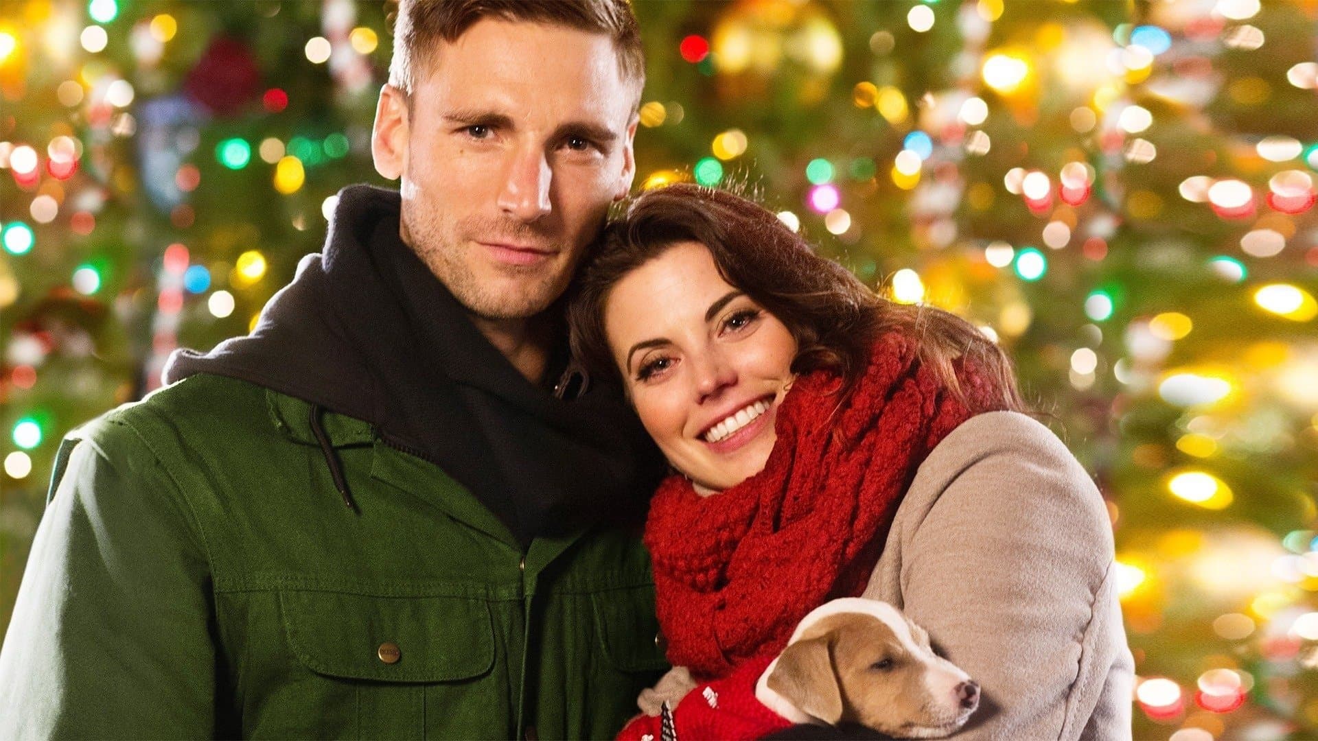 Backdrop of Debbie Macomber's Dashing Through The Snow