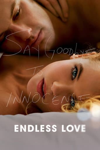 Poster of Endless Love