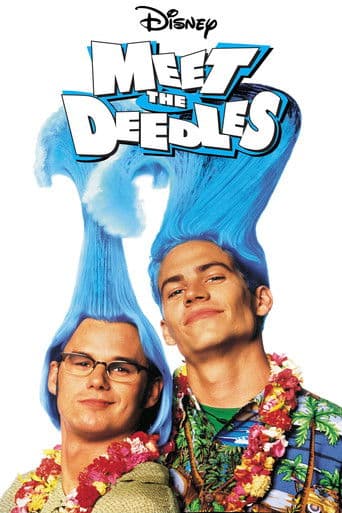Poster of Meet the Deedles