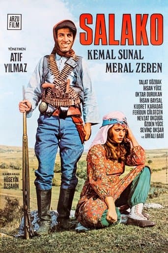 Poster of Salako