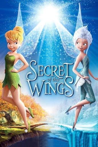 Poster of Secret of the Wings
