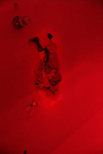 Poster of Roi Soleil