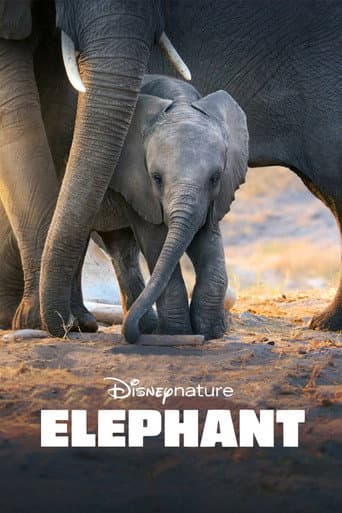 Poster of Elephant