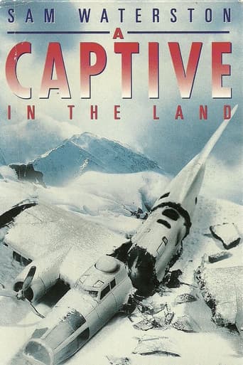 Poster of A Captive in the Land