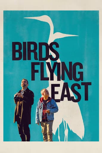 Poster of Birds Flying East
