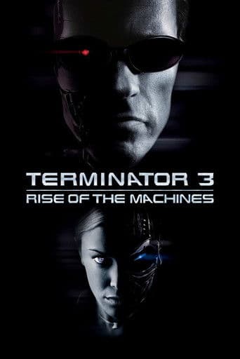 Poster of Terminator 3: Rise of the Machines