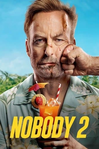 Poster of Nobody 2