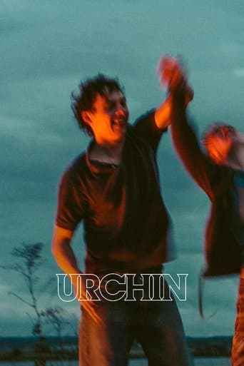 Poster of Urchin