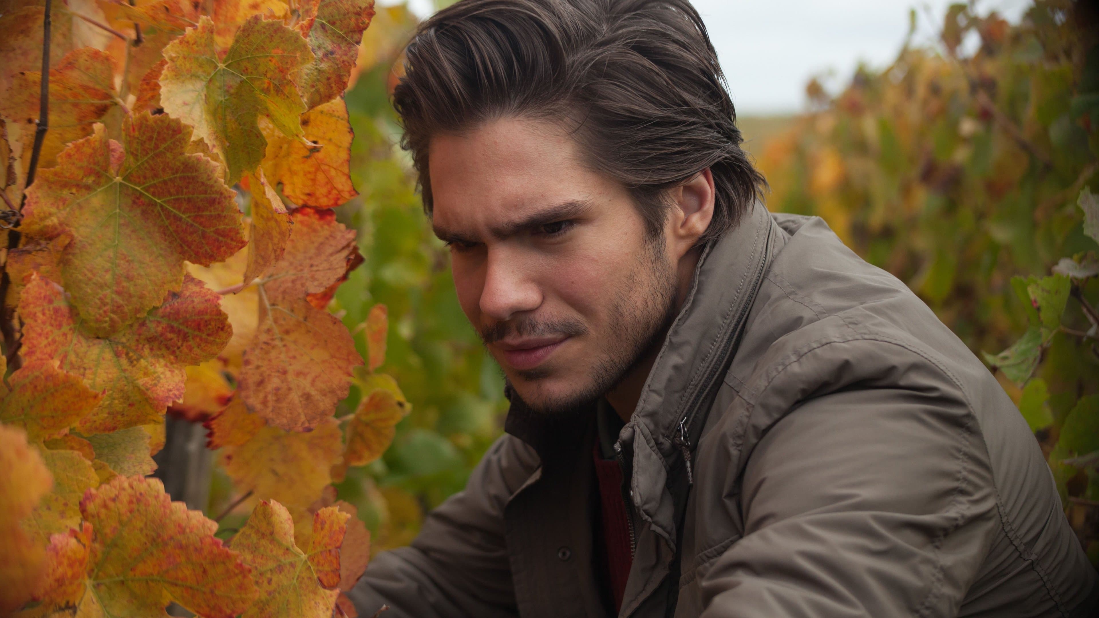 Backdrop of Back to Burgundy