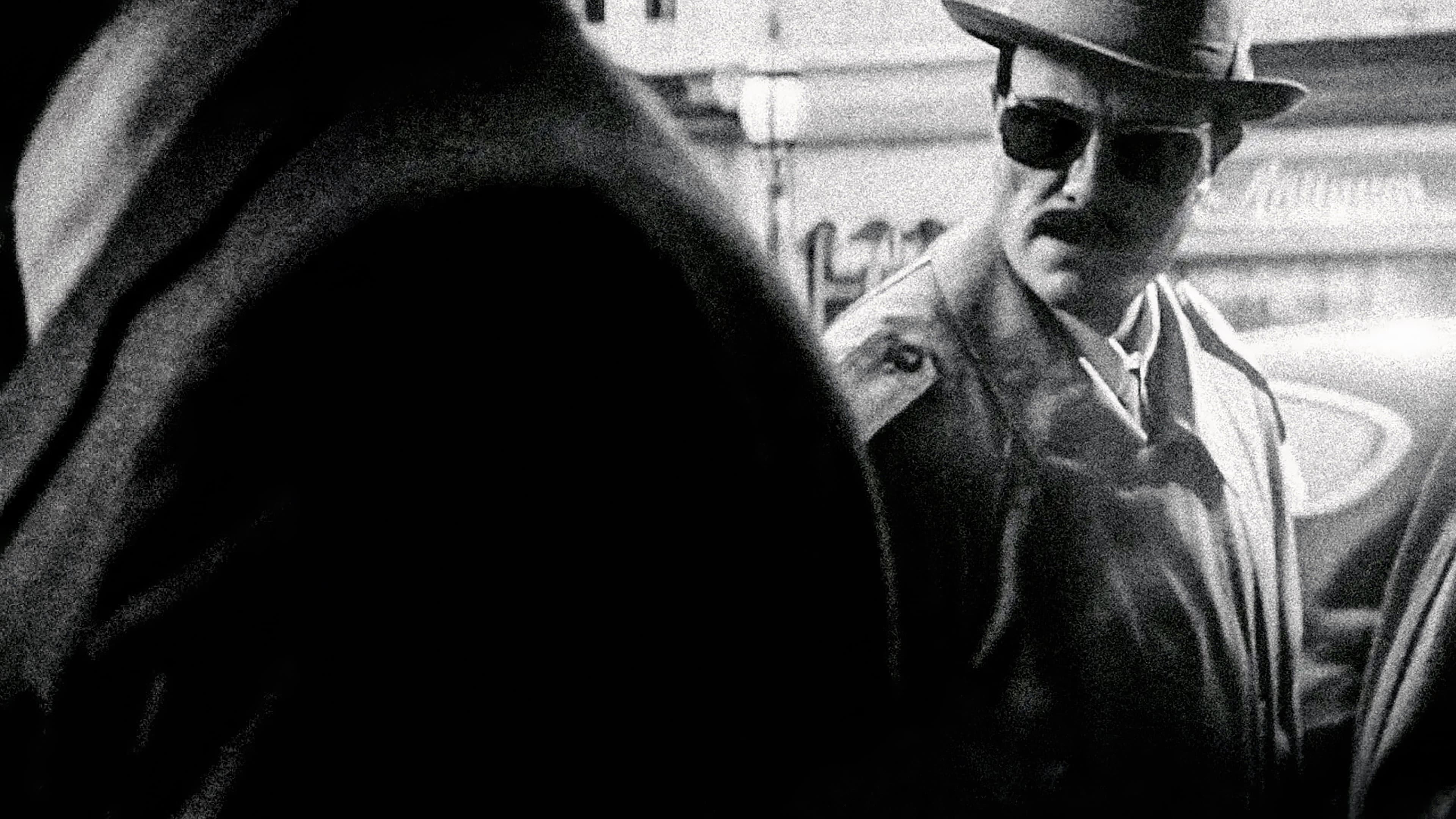 Backdrop of The Disappearance of Josef Mengele