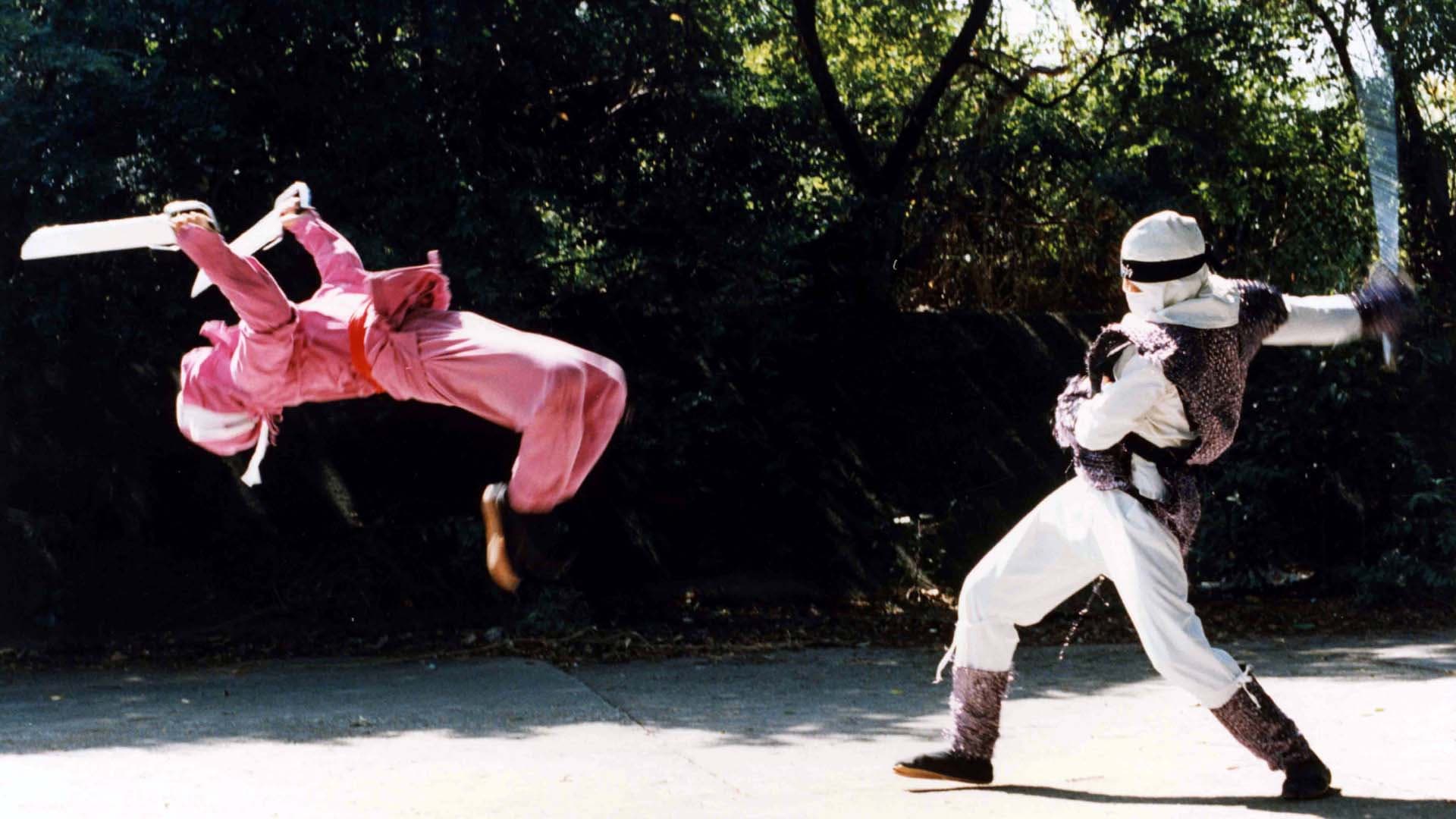 Backdrop of The Ninja Showdown