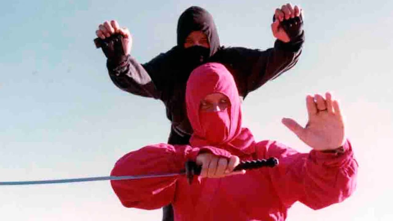 Backdrop of Diamond Ninja Force