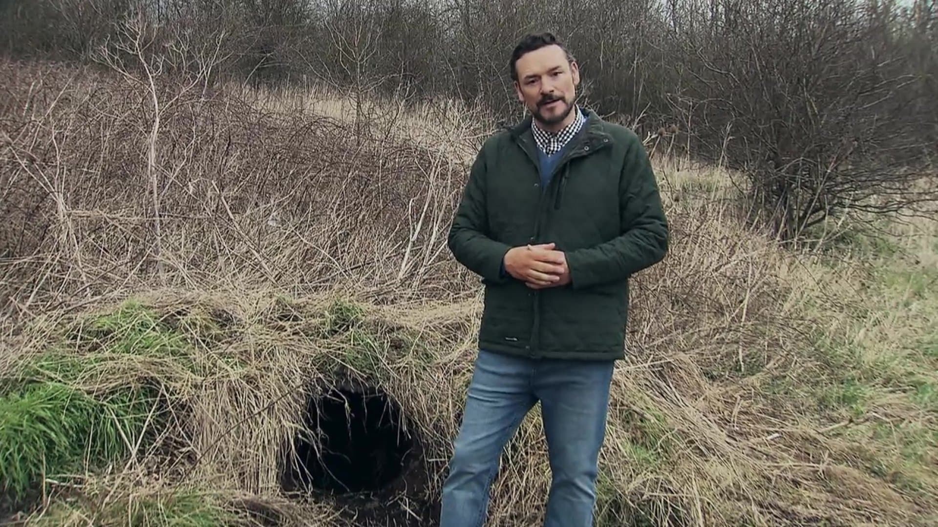 Backdrop of The ABCs of Death Collection