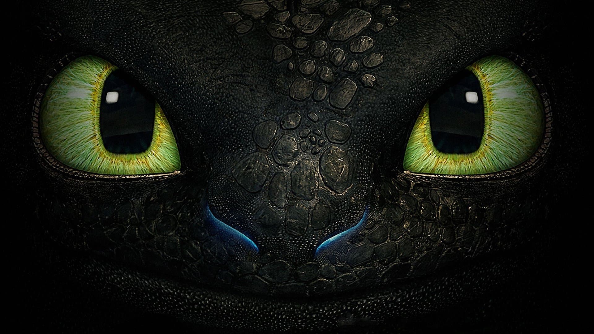 Backdrop of How to Train Your Dragon Collection