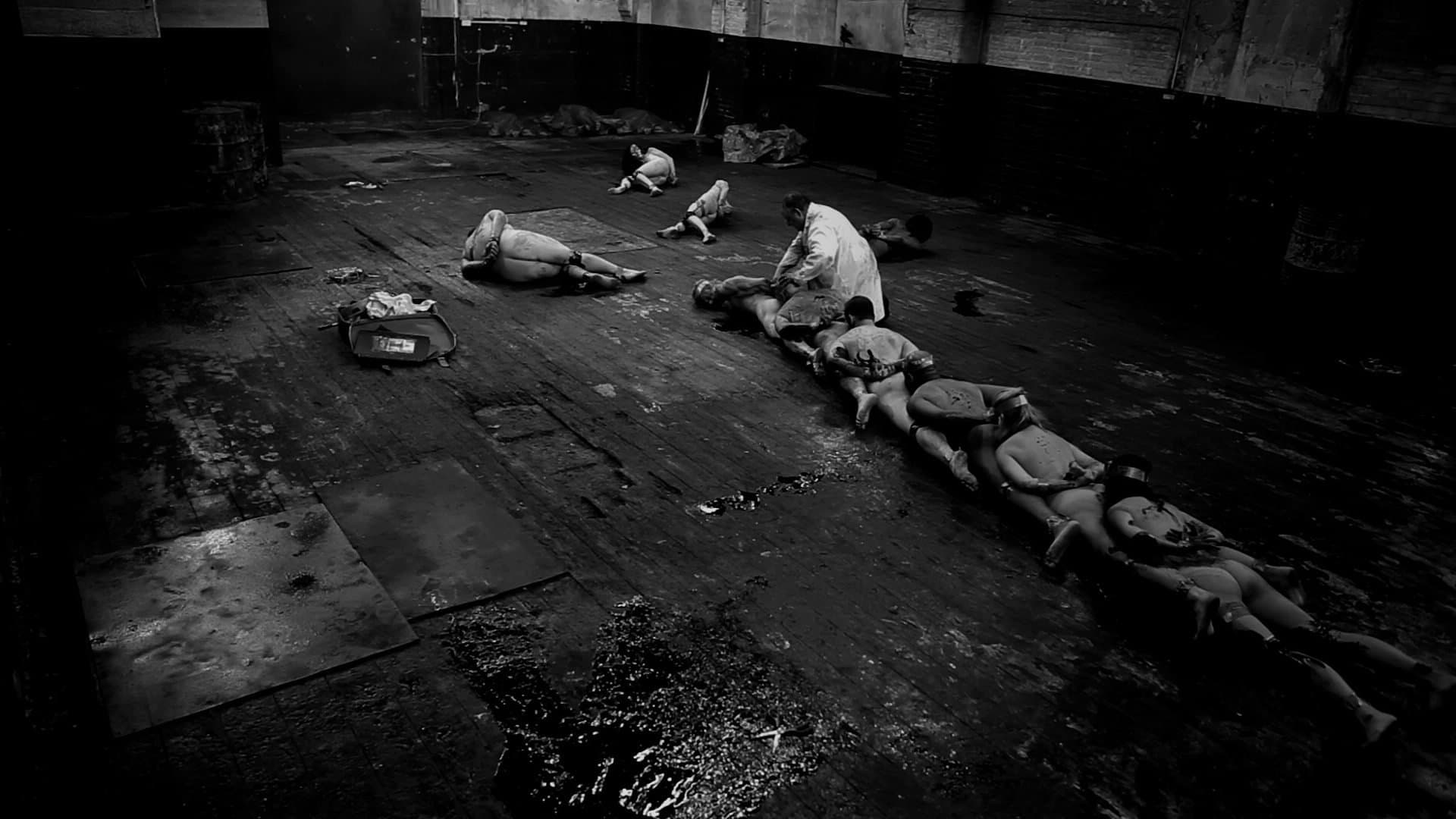 Backdrop of The Human Centipede Collection