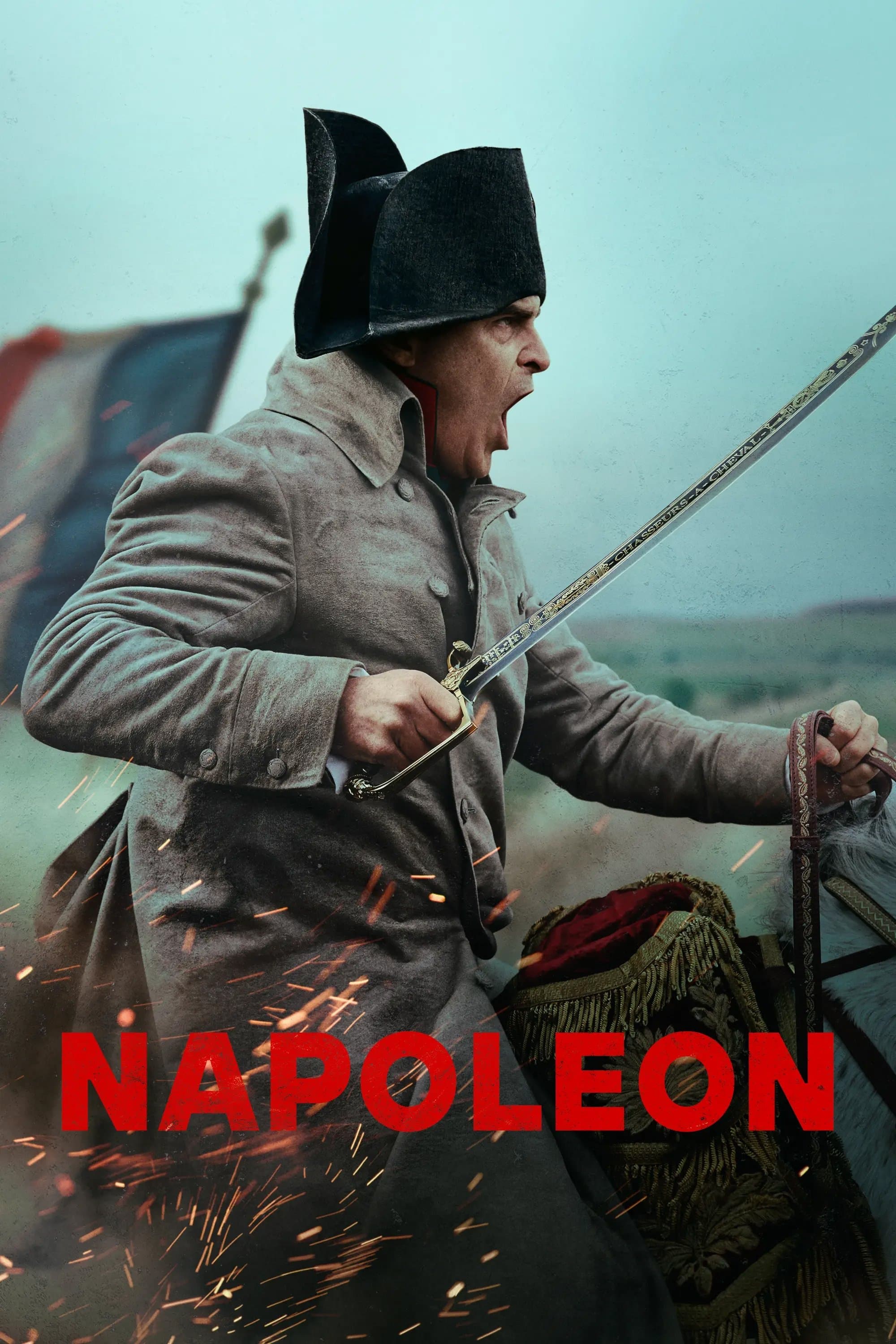 Poster of Napoleon