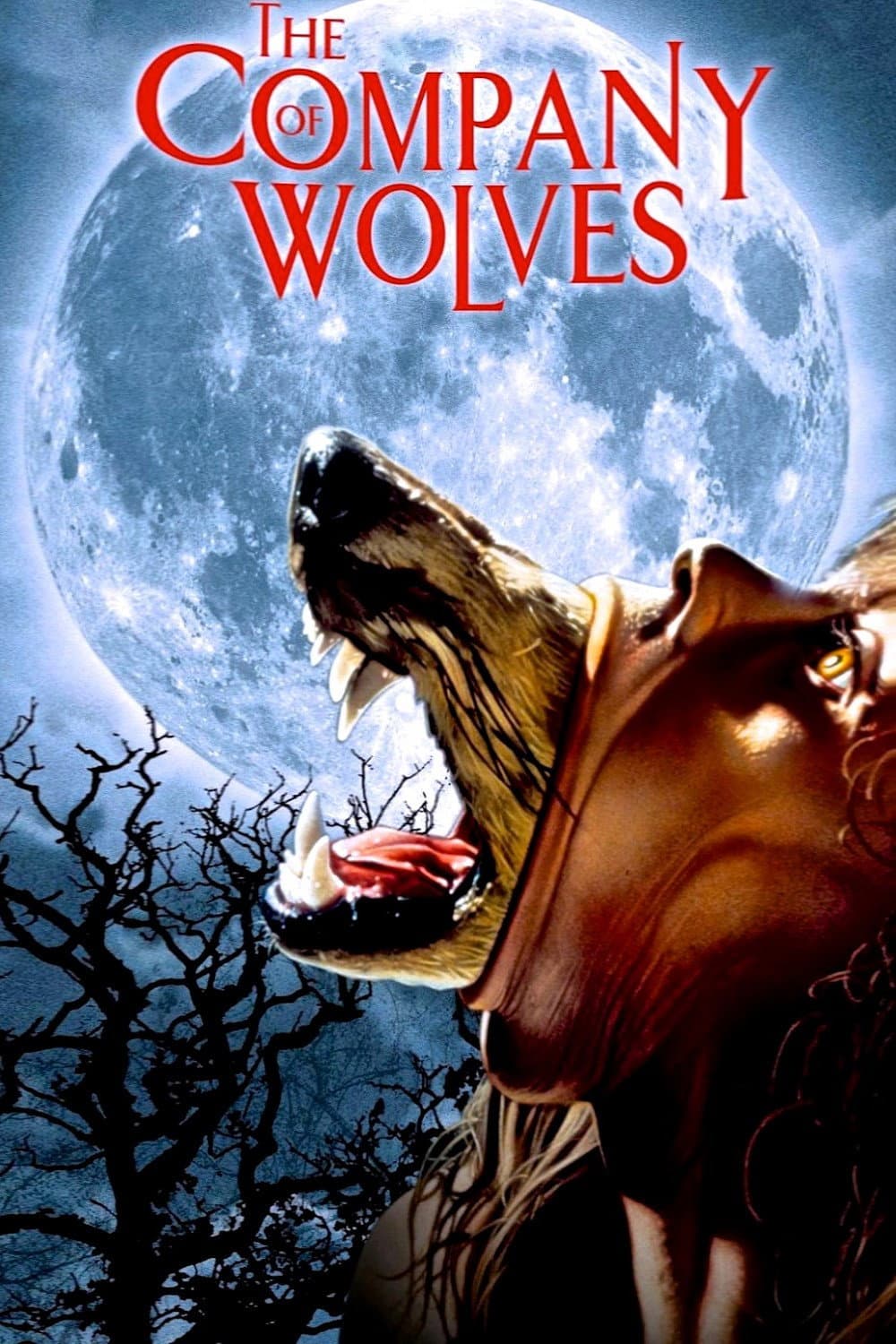 Poster of The Company of Wolves