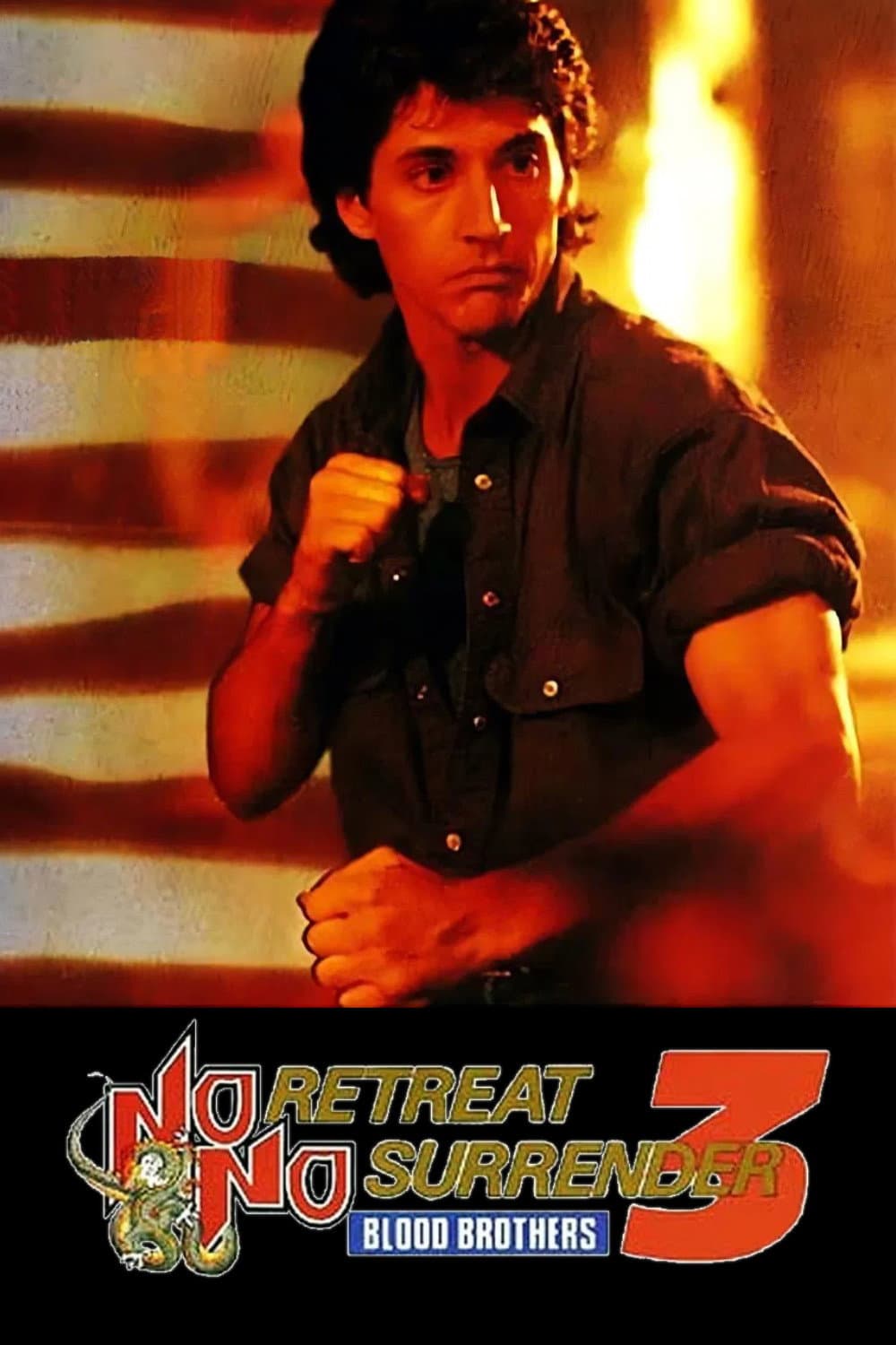 Poster of No Retreat, No Surrender 3: Blood Brothers