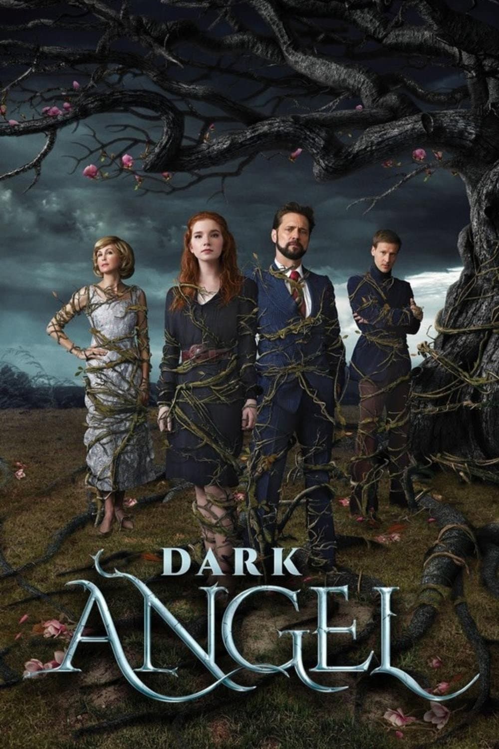Poster of Dark Angel