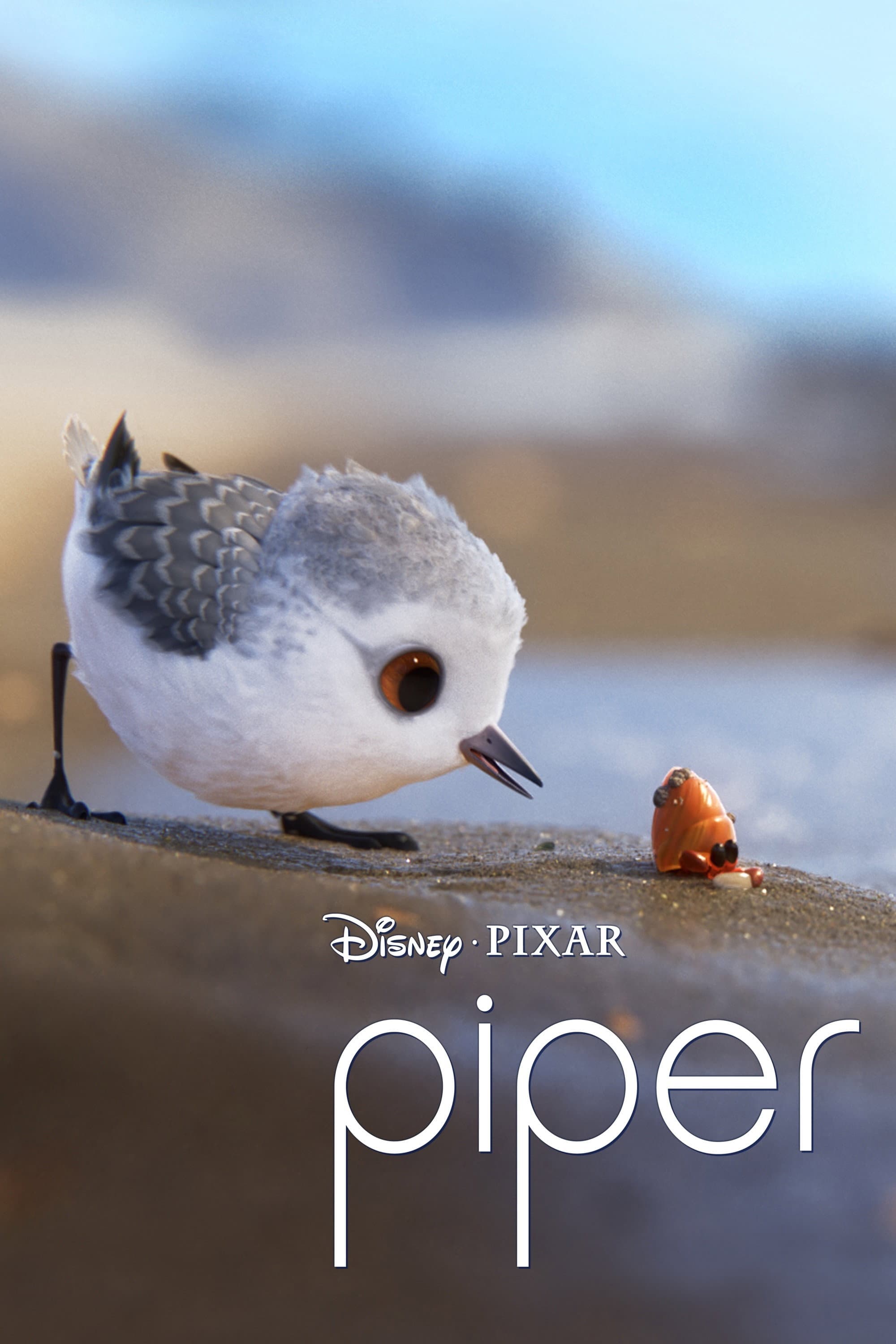 Poster of Piper