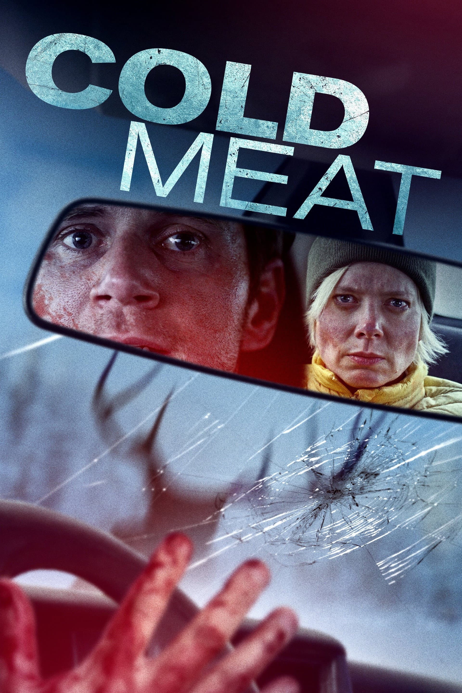 Poster of Cold Meat