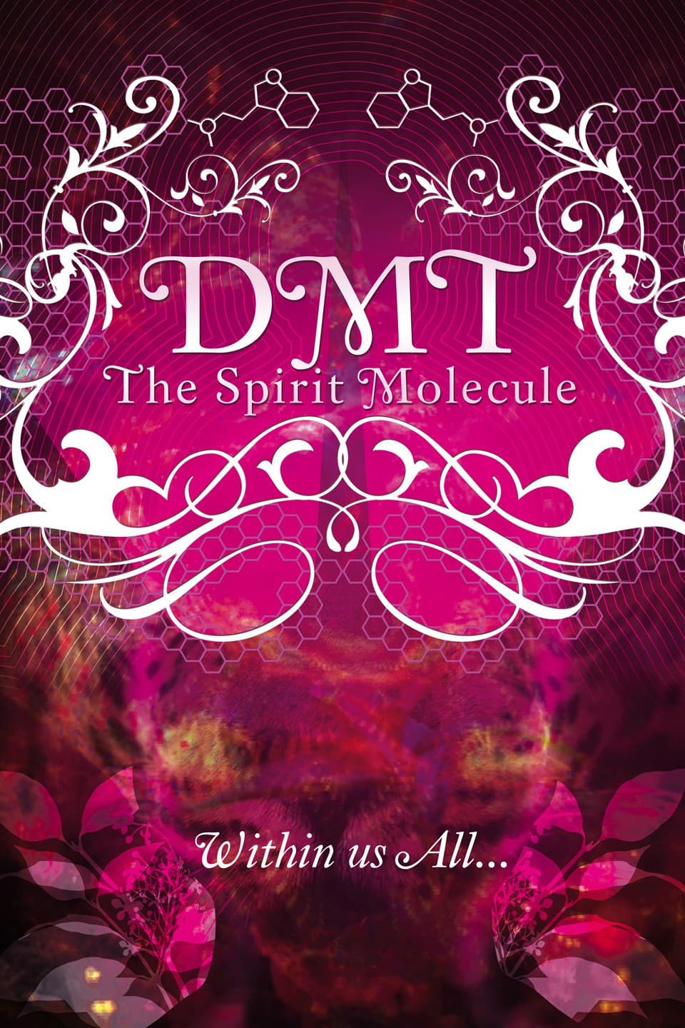 Poster of DMT: The Spirit Molecule