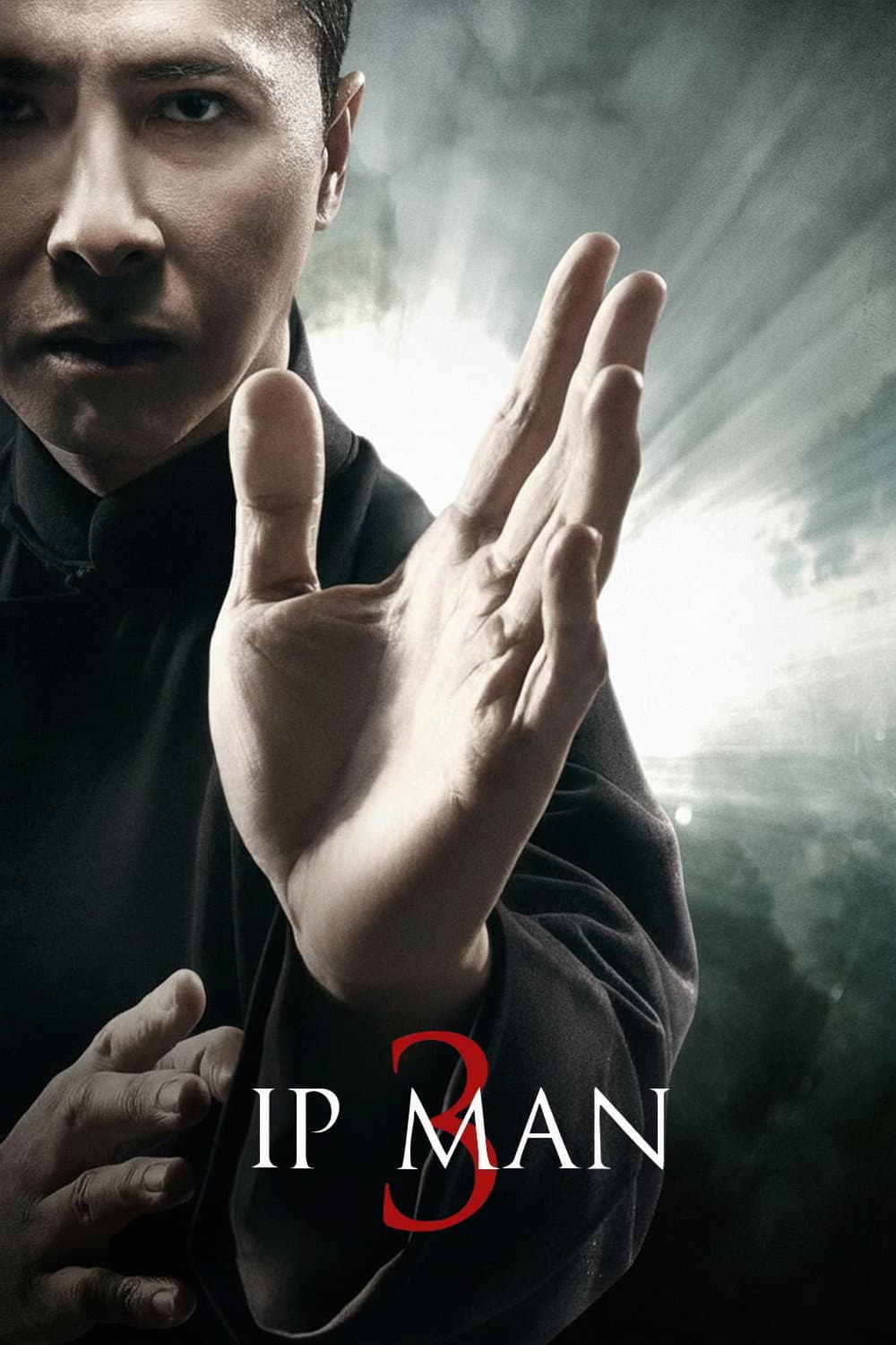 Poster of Ip Man 3