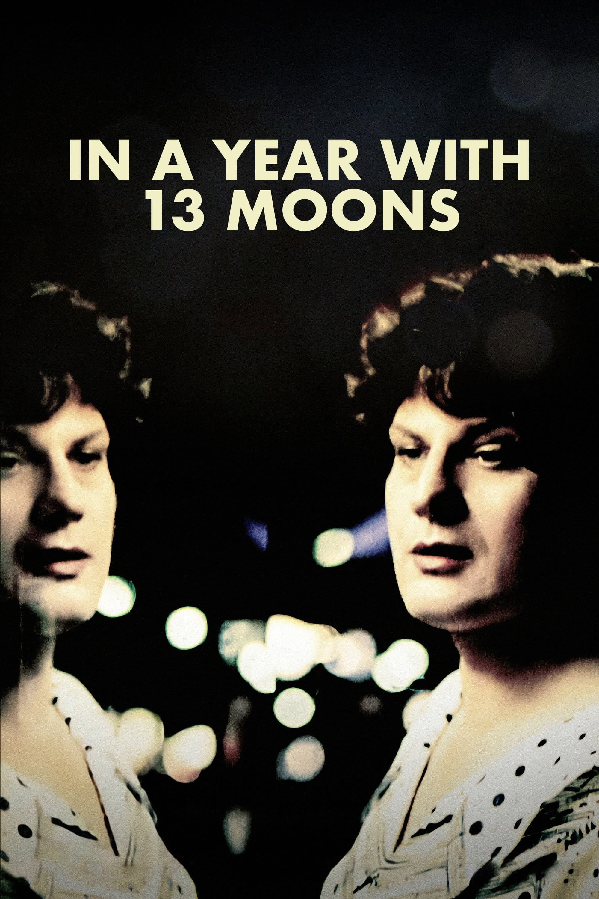 Poster of In a Year with 13 Moons