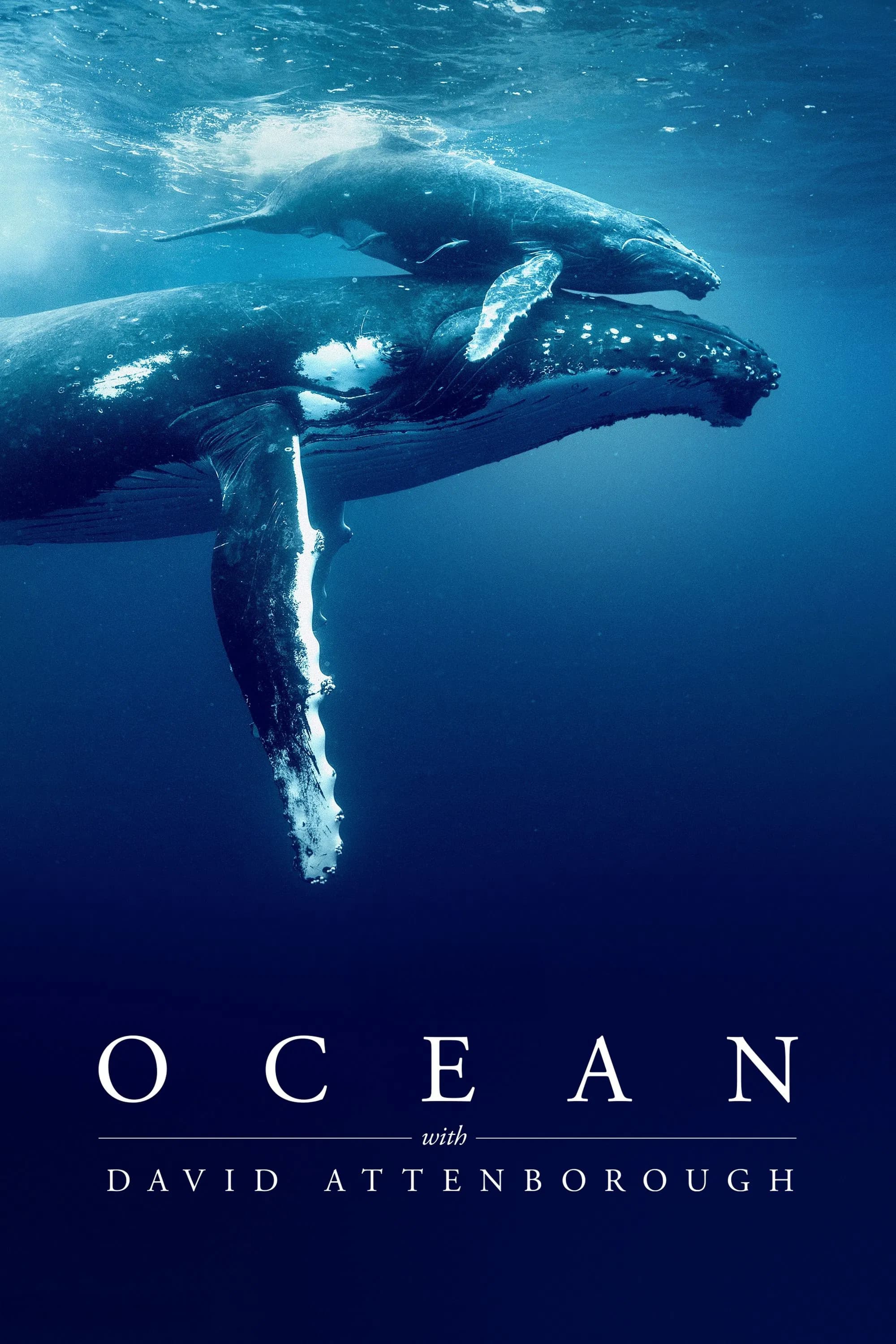 Poster of Ocean with David Attenborough