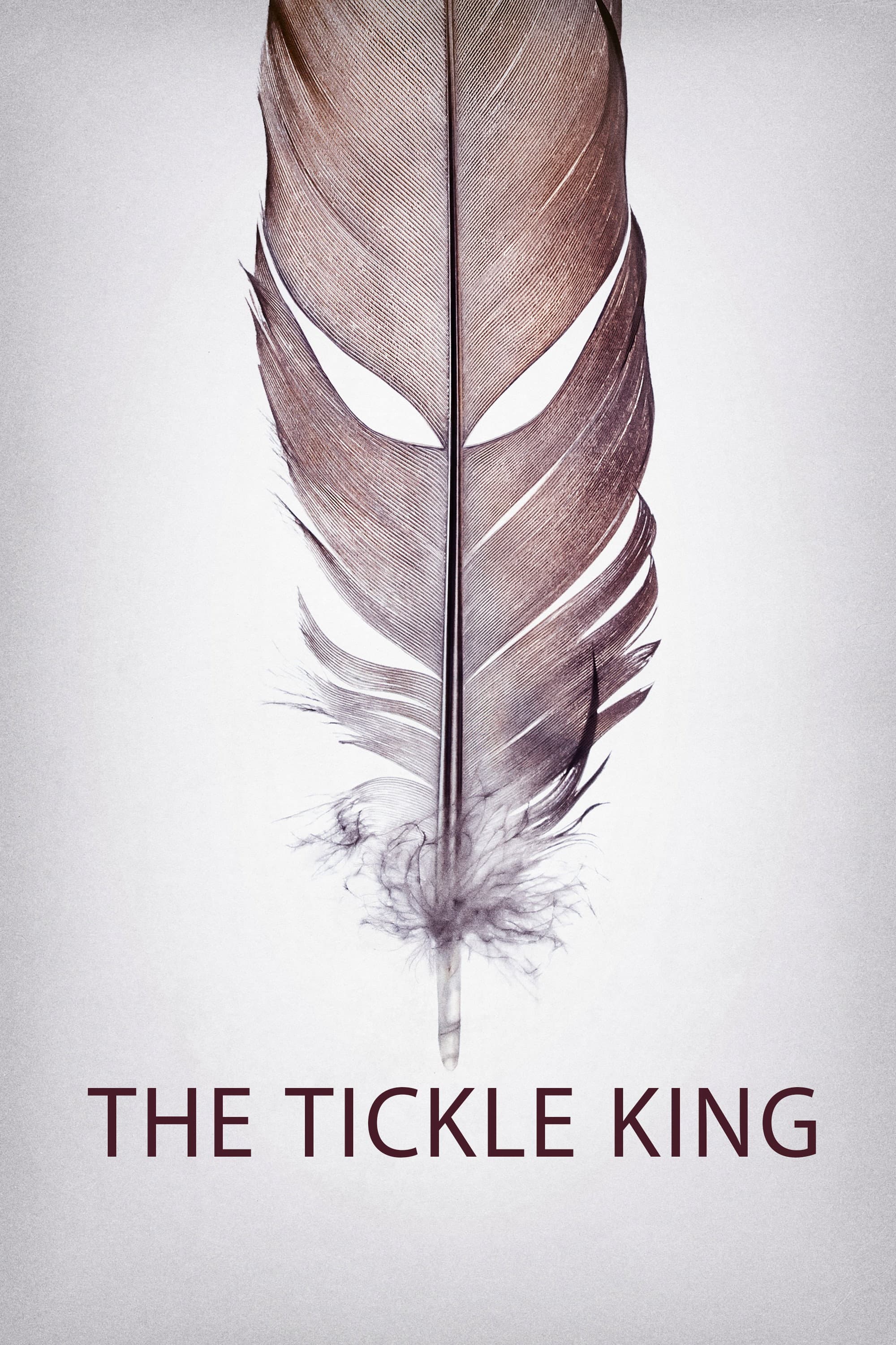 Poster of The Tickle King