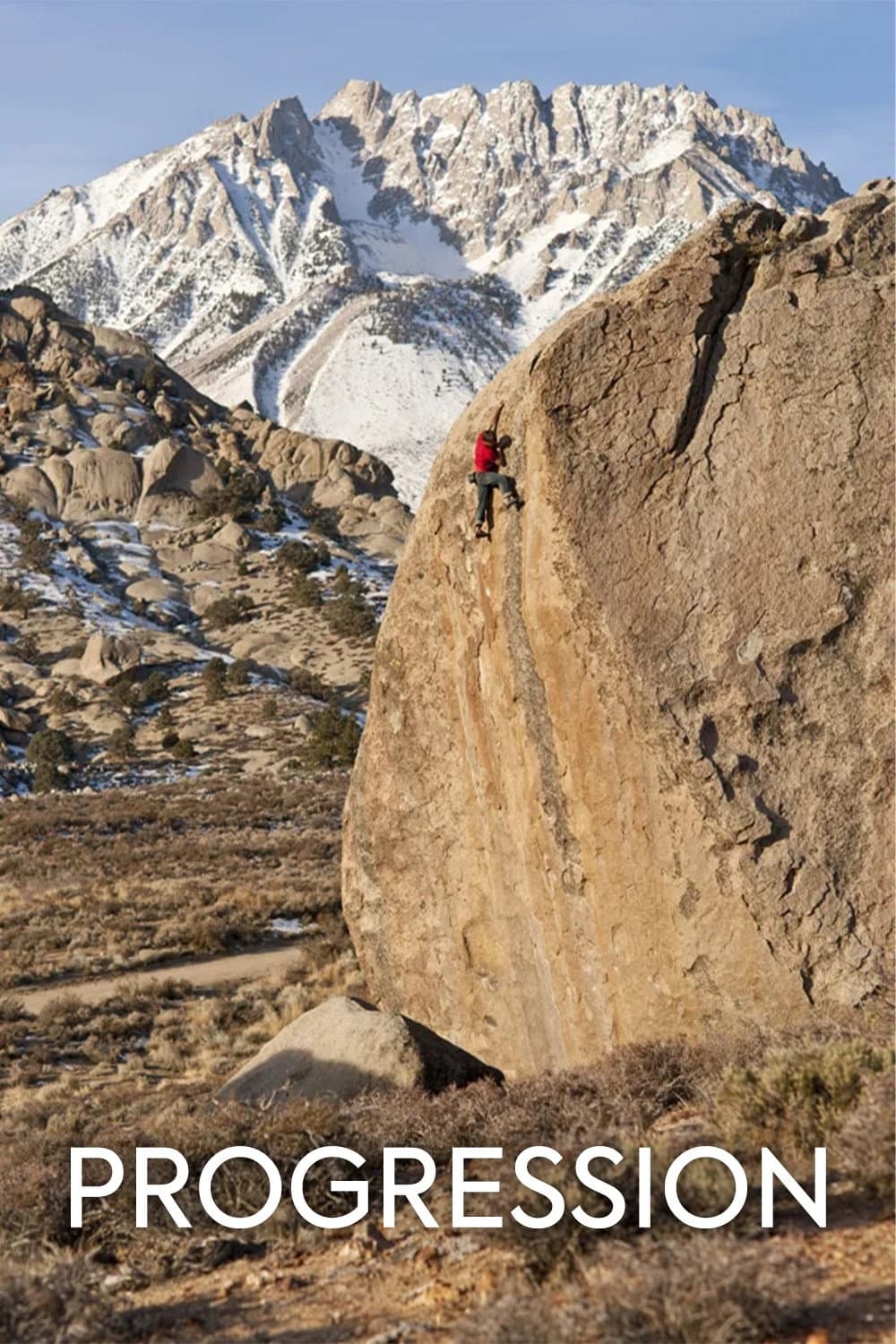 Poster of Progression